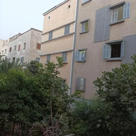 Hay Saida-2
